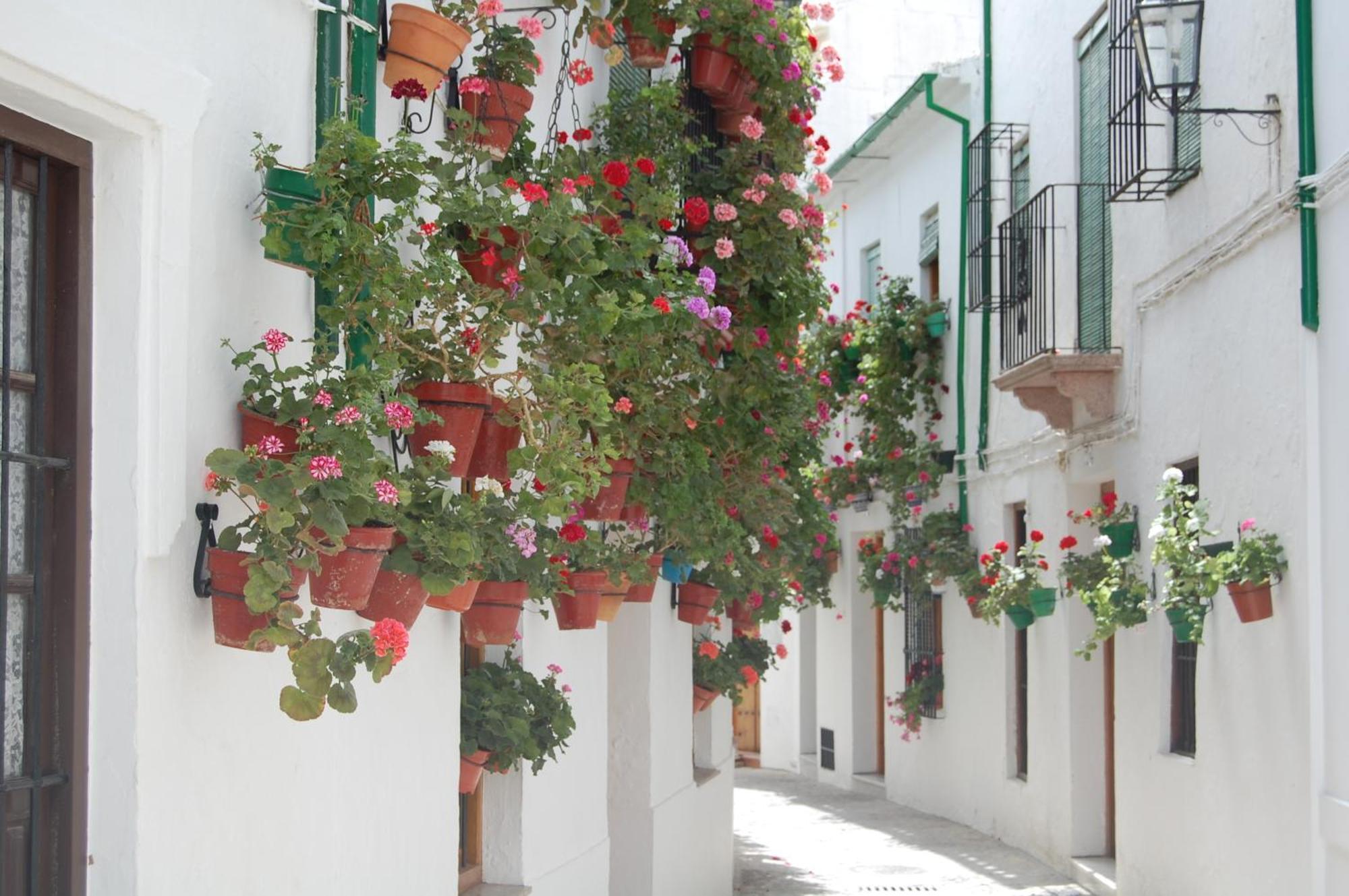 Casa Banos De La Villa Priego de Córdoba Buitenkant foto